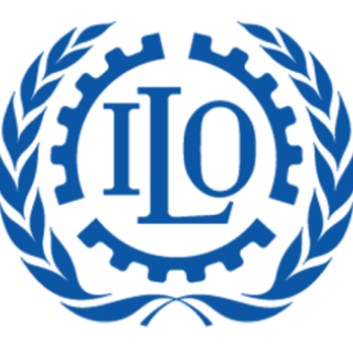 International Labour Organization (ILO) International Labour Organization (ILO)